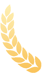 希达电子斩获“2025年度COB小间距十大品牌”等四项荣誉！